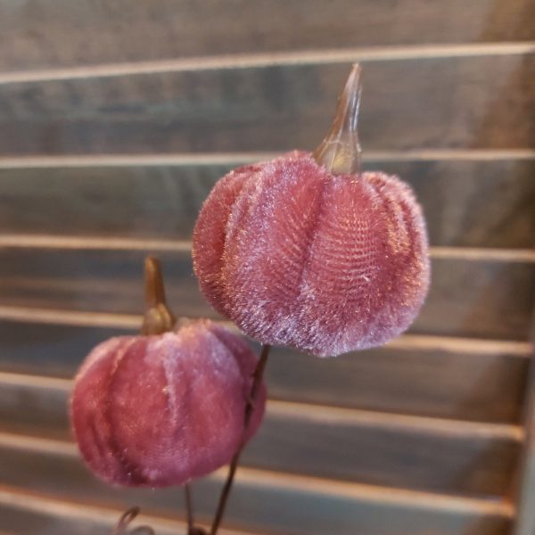 Tak met 6 velours pompoenen in een donkere lila kleur, van het merk Countryfield.