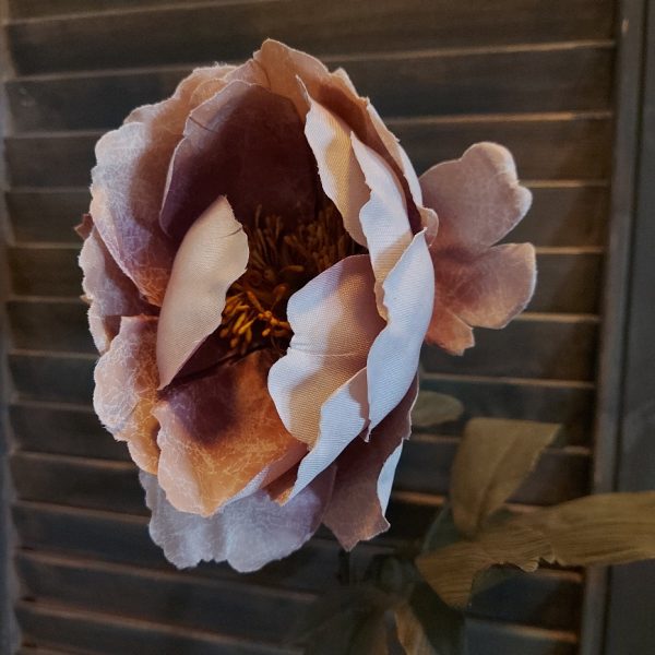 Pioenroos zijdenbloem in een oudroze kleur van het merk Countryfield.