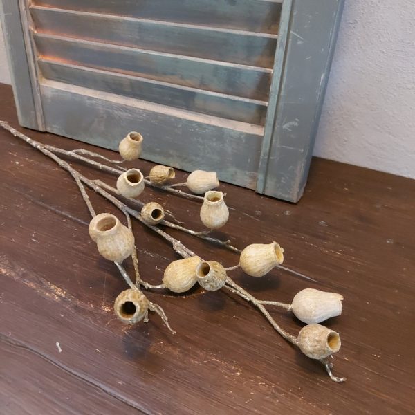 Tak met kunst eucalyptus vruchten in een licht bruine kleur, van het merk Mansion Atmosphere.