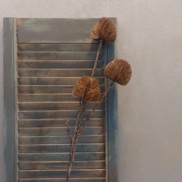 Tak met drie Banksia distel bloemen in een kunst uitvoering, van het merk Countryfield.