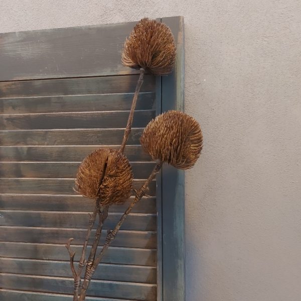 Tak met drie Banksia distel bloemen in een kunst uitvoering, van het merk Countryfield.
