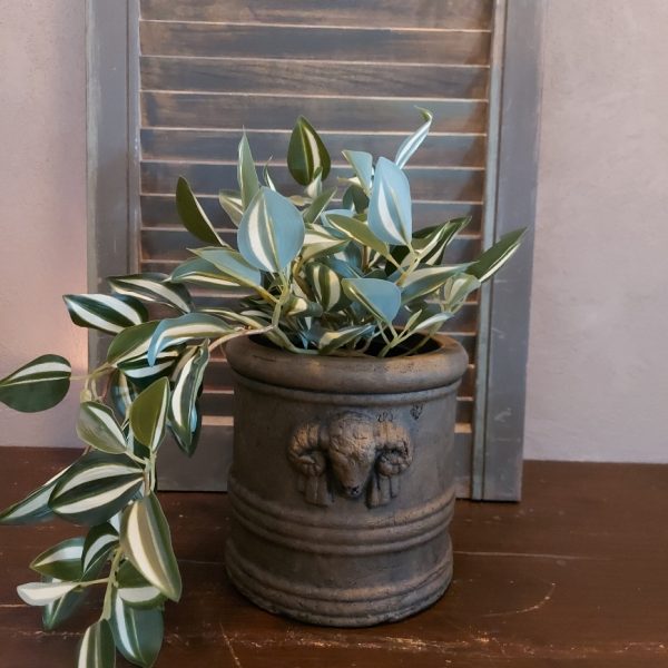Peperomia kunstplant in een zwarte pot van het merk Countryfield.