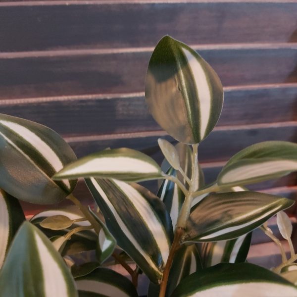 Peperomia kunstplant in een zwarte pot van het merk Countryfield.