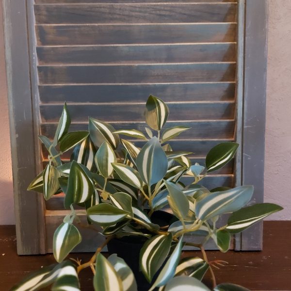 Peperomia kunstplant in een zwarte pot van het merk Countryfield.