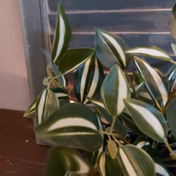 Peperomia kunstplant in een zwarte pot van het merk Countryfield.