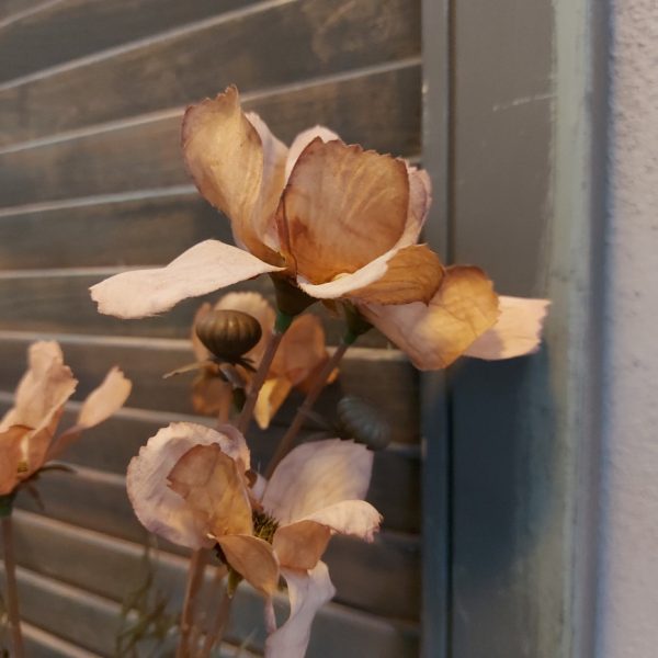 Kornoelje kunstbloem met zes bloemen in een mokka bruine kleur van het merk Sylxz van Brynxz.