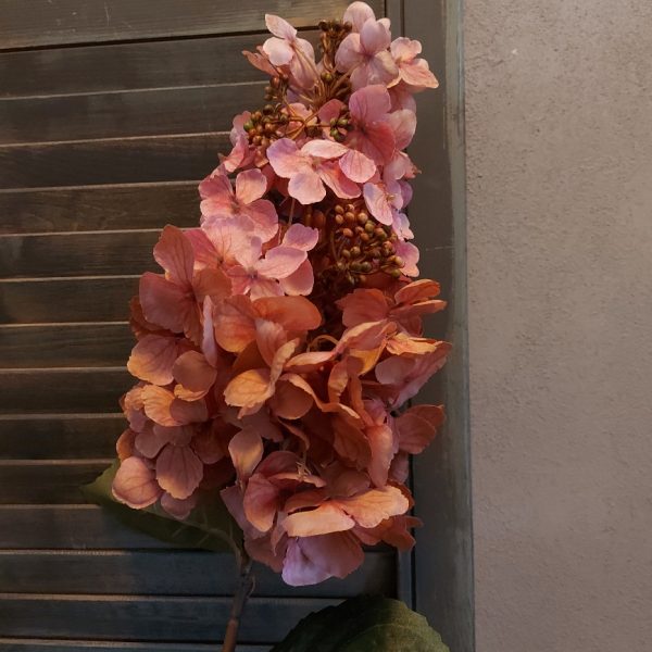 Pluim hortensia kunstbloem in een oud roze kleur van het merk Sylxz van Brynxz.