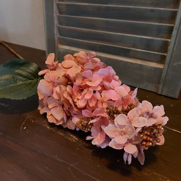 Pluim hortensia kunstbloem in een oud roze kleur van het merk Sylxz van Brynxz.