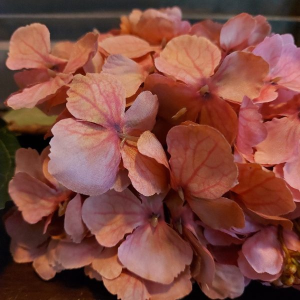 Brynxz - Pluim hortensia zijdenbloem - Oud roze - L.80cm - Afbeelding 5