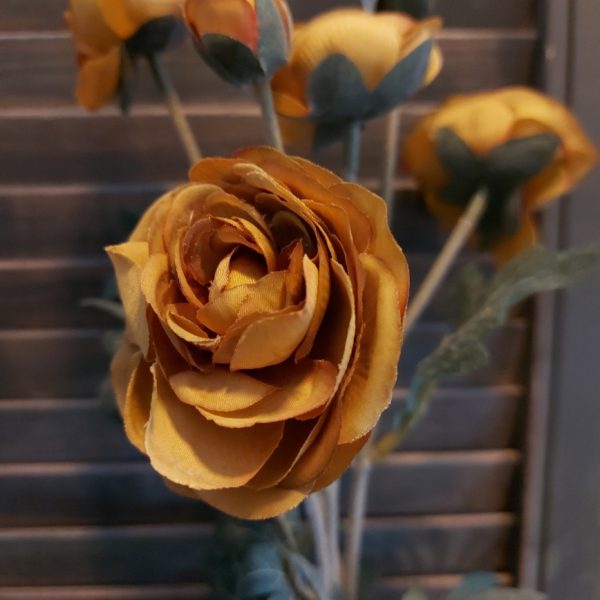 Ranonkel kunstbloem met 6 bloemen in een okergele kleur van het merk Sylxz van Brynxz.