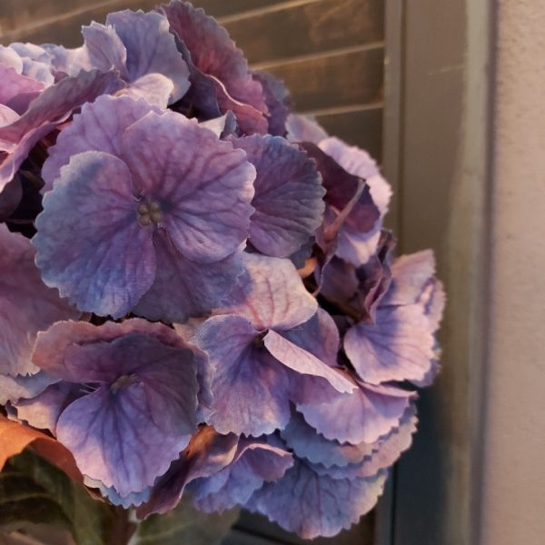 Hortensia kunstbloem in een blauwpaarse kleur van het merk Sylxz van Brynxz.