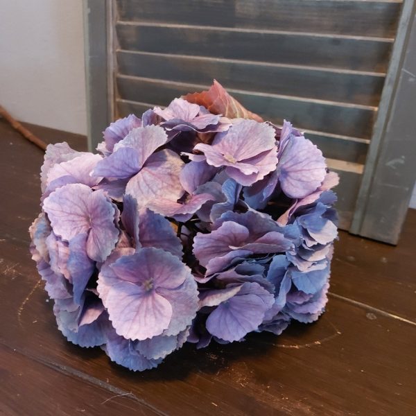 Hortensia kunstbloem in een blauwpaarse kleur van het merk Sylxz van Brynxz.