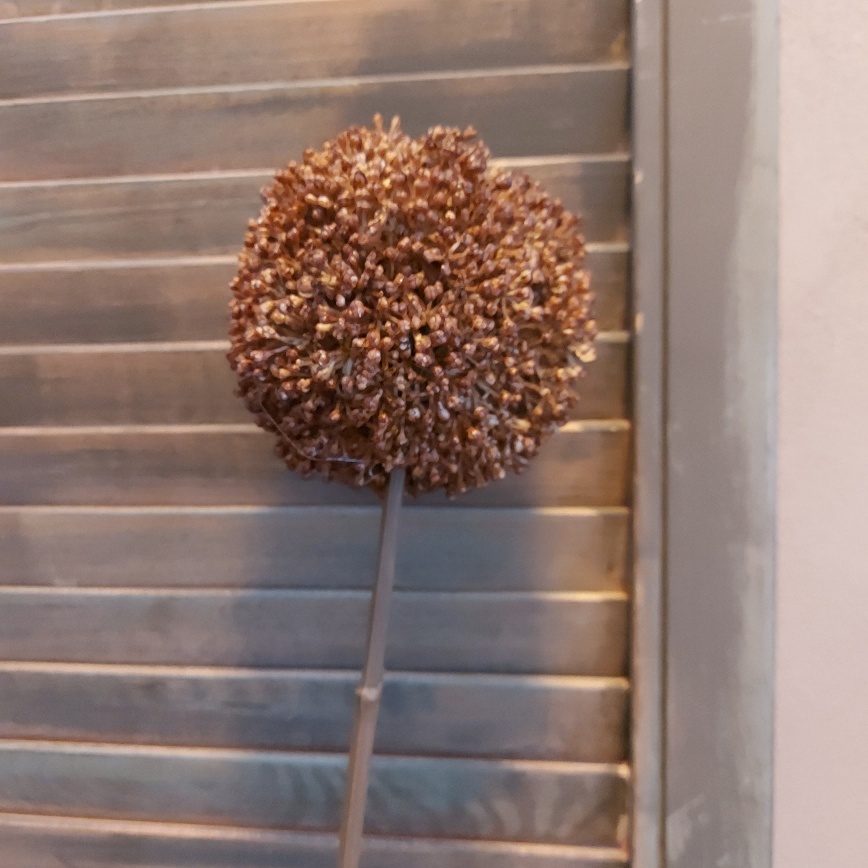 Bruine sierui kunstbloem met een bloem van 10 cm doorsnede van het merk Countryfield.