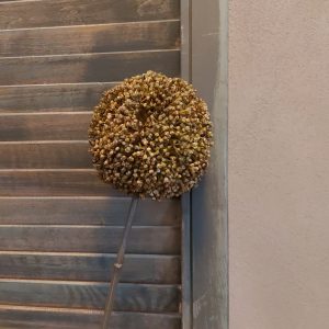 Groene sierui kunstbloem met een bloem van 10 cm doorsnede van het merk Countryfield.