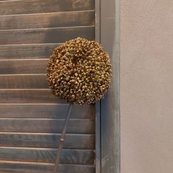 Groene sierui kunstbloem met een bloem van 10 cm doorsnede van het merk Countryfield.