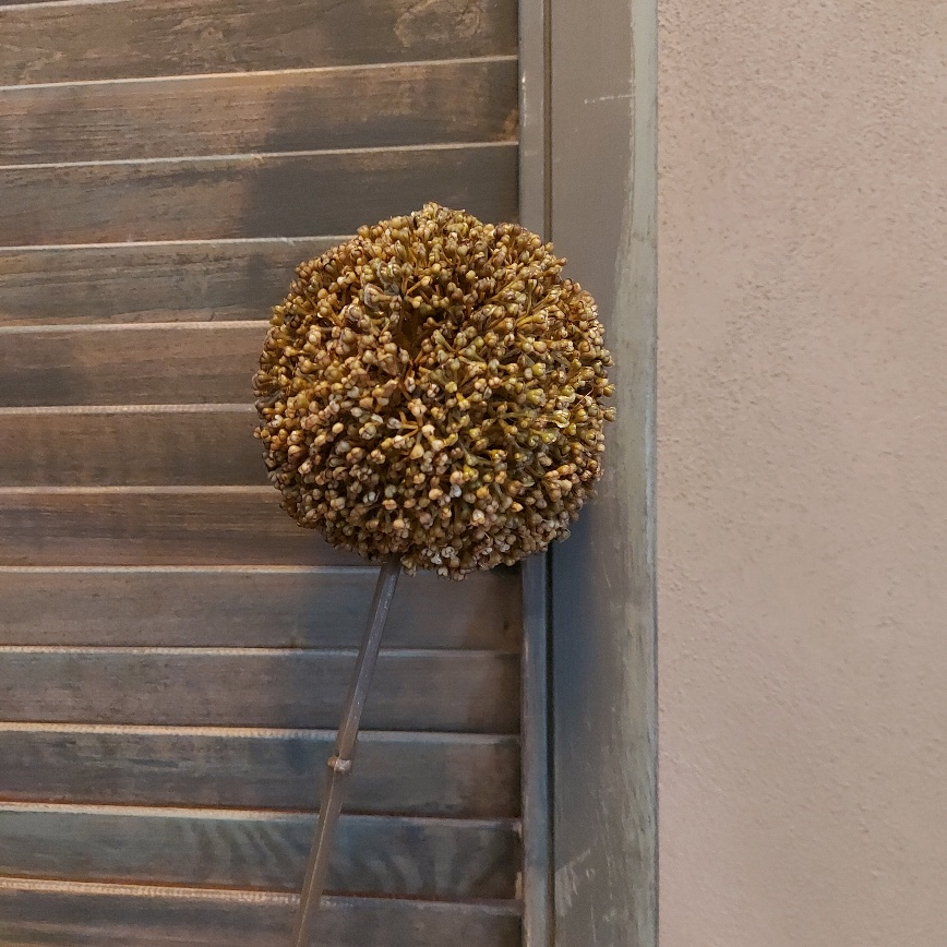 Groene sierui kunstbloem met een bloem van 10 cm doorsnede van het merk Countryfield.
