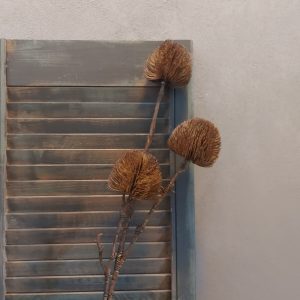 Tak met drie Banksia distel bloemen in een kunst uitvoering, van het merk Countryfield.