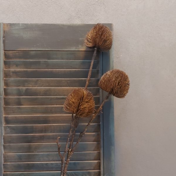 Tak met drie Banksia distel bloemen in een kunst uitvoering, van het merk Countryfield.
