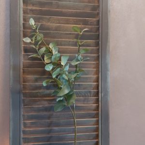 Eucalyptus kunsttak met rond groen blad van het merk Countryfield.