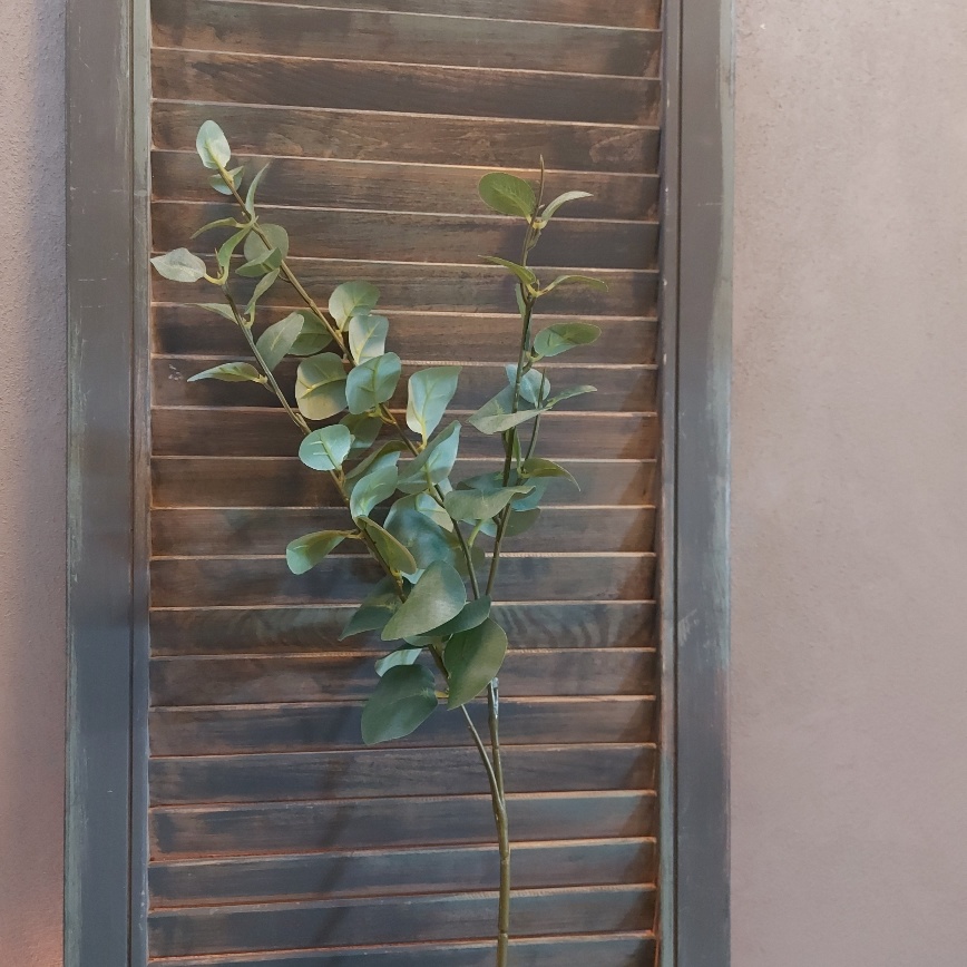 Eucalyptus kunsttak met rond groen blad van het merk Countryfield.
