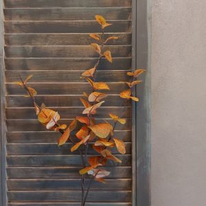 Eucalyptus kunsttak met rond blad in herfstkleuren van het merk Countryfield.