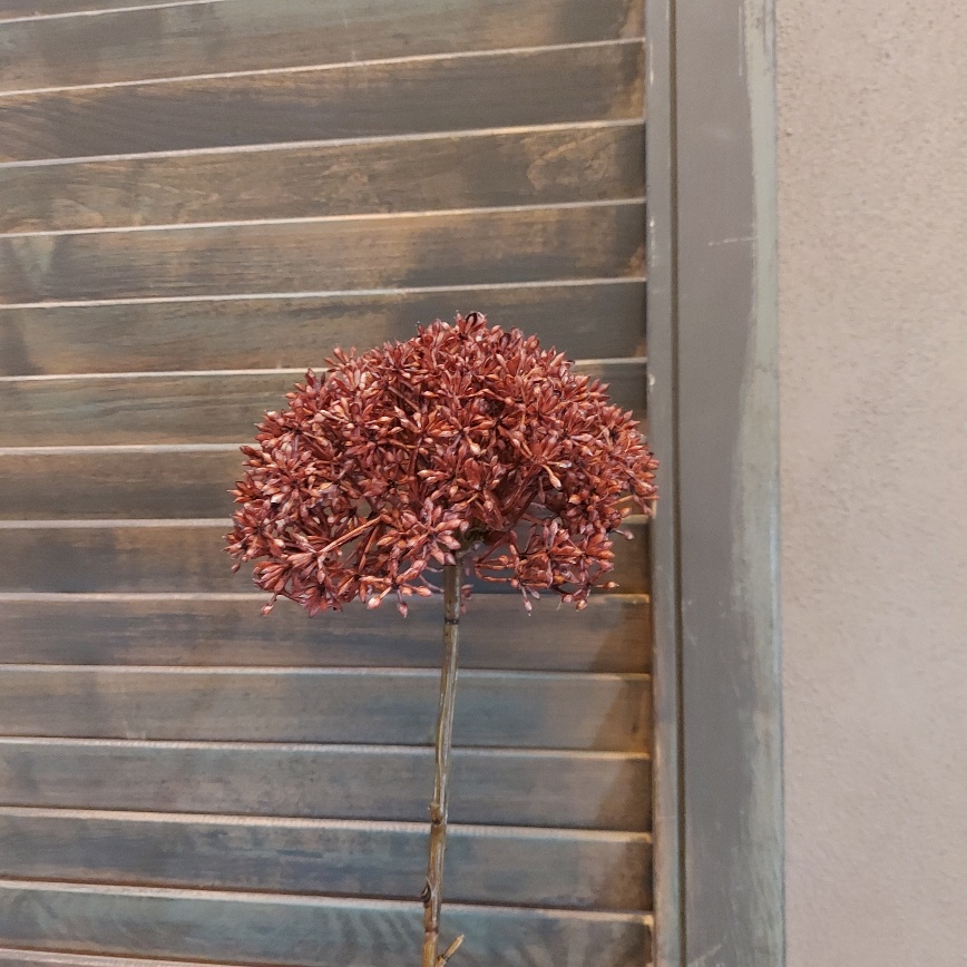 Leverkruid kunstbloem met een rode bloem, van het merk Countryfield.