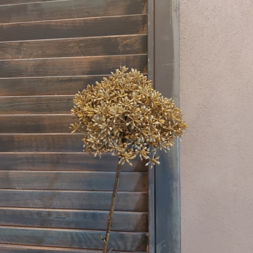 Leverkruid kunstbloem met een goudgele bloem, van het merk Countryfield.