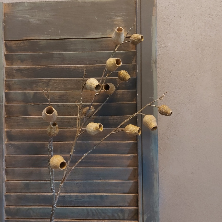 Tak met kunst eucalyptus vruchten in een licht bruine kleur, van het merk Mansion Atmosphere.