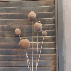 Kunsttak met klaproos zaaddozen in een lichtbruine kleur, van het merk Countryfield.