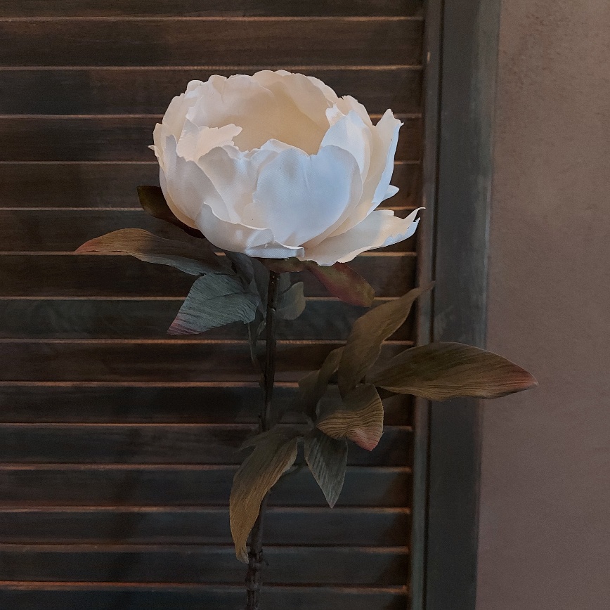 Pioenroos zijdenbloem in een witte kleur van het merk Countryfield.