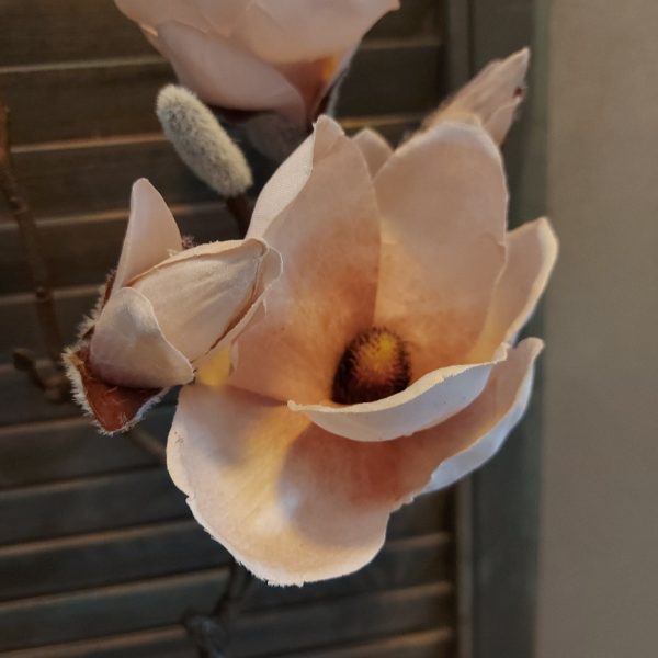 Magnolia kunstbloem in een zachte poeder roze van het merk Countryfield.