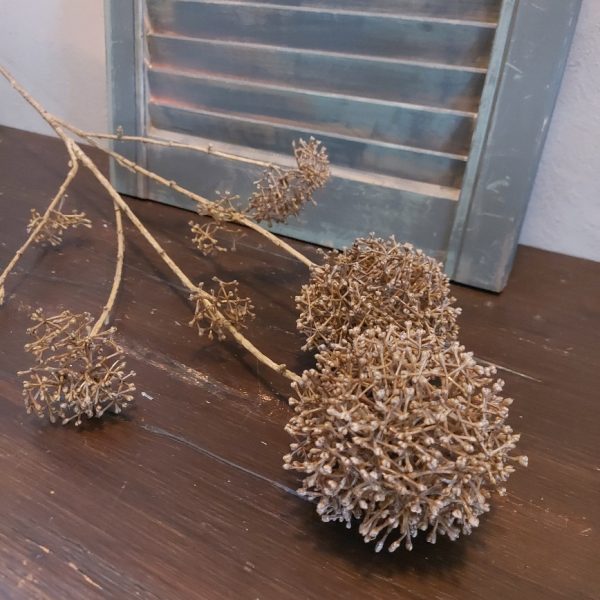 Leverkruid kunstbloem met bruine bloemen, van het merk Countryfield.