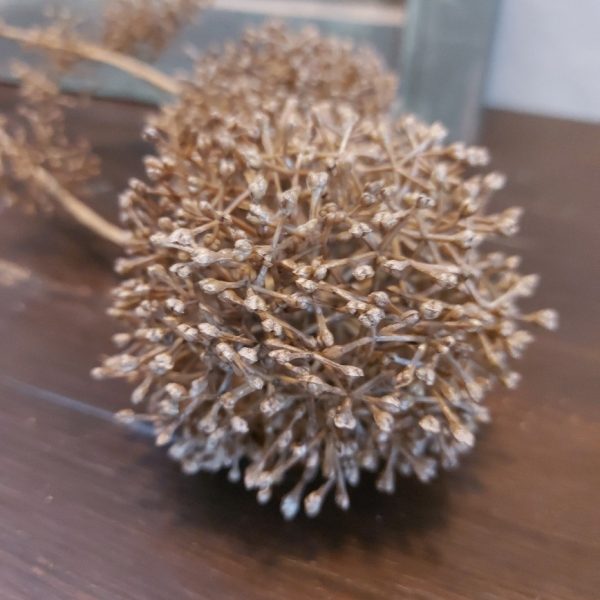 Leverkruid kunstbloem met bruine bloemen, van het merk Countryfield.