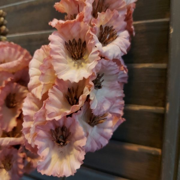 Molusella kunstbloem in een oud roze kleur van het merk Sylxz van Brynxz.