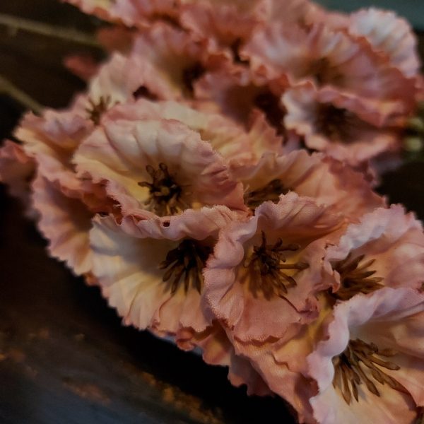 Molusella kunstbloem in een oud roze kleur van het merk Sylxz van Brynxz.
