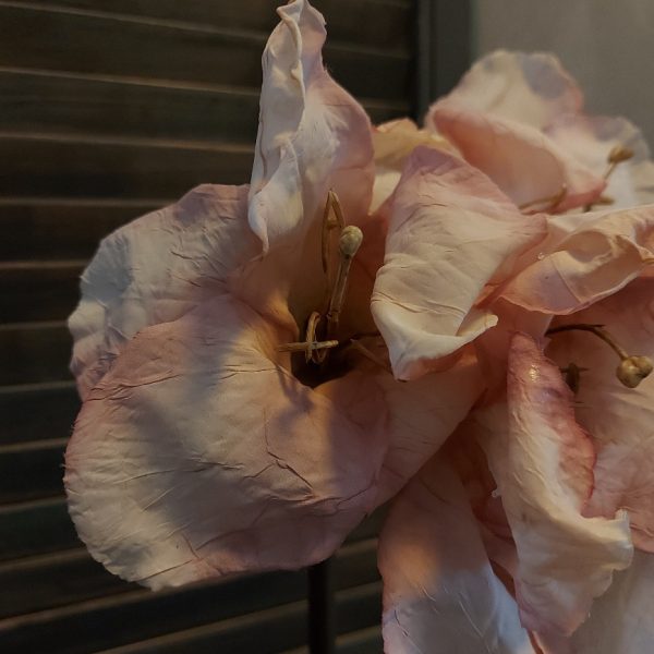 Amaryllis kunstbloem in een oud roze kleur van het merk Sylxz van Brynxz.