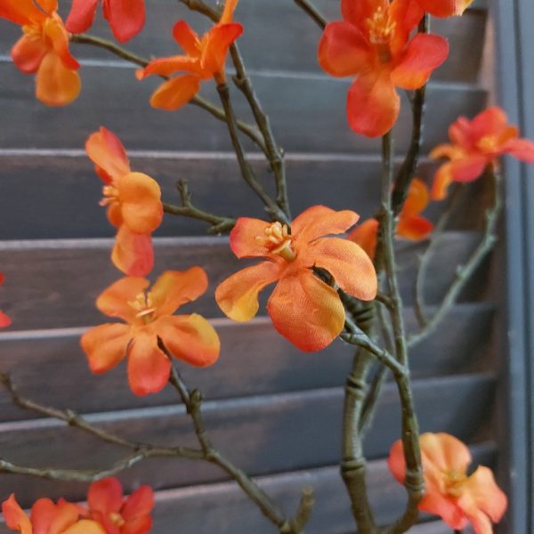 Twijg met oranje Malus appelbloesem zijdenbloemen van het merk Countryfield.