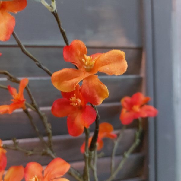 Twijg met oranje Malus appelbloesem zijdenbloemen van het merk Countryfield.