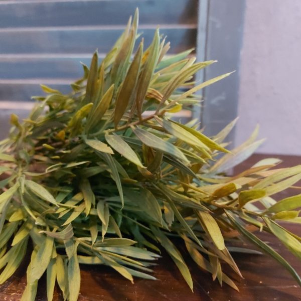Bamboe kunstplant met lang spits blad, van het merk Brynxz.