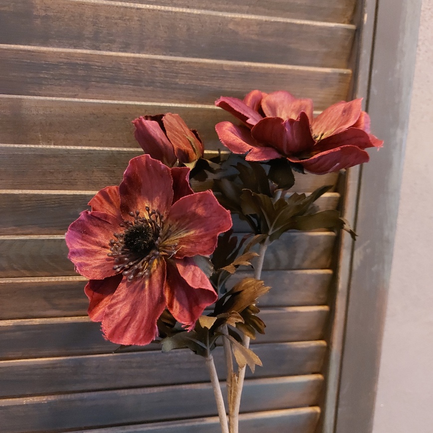 Anemoon kunstbloem met drie bloemen in een aubergine kleur van het merk Brynxz.