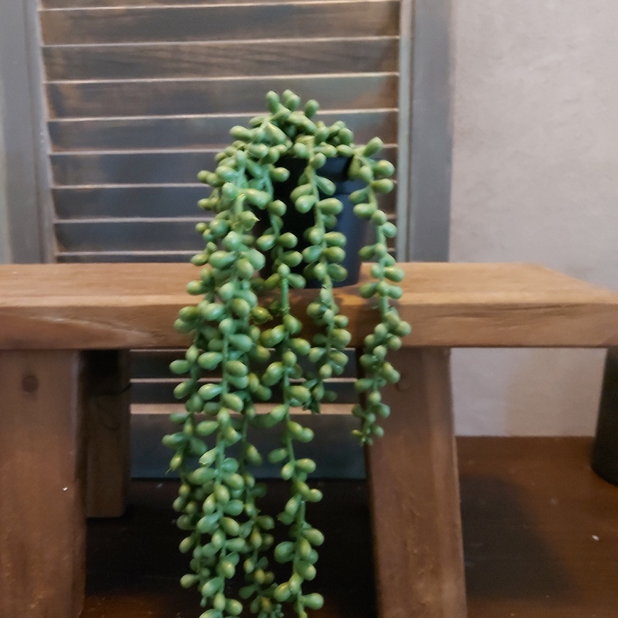 Erwtjesplant kunstplant in een zwarte pot van het merk Countryfield.