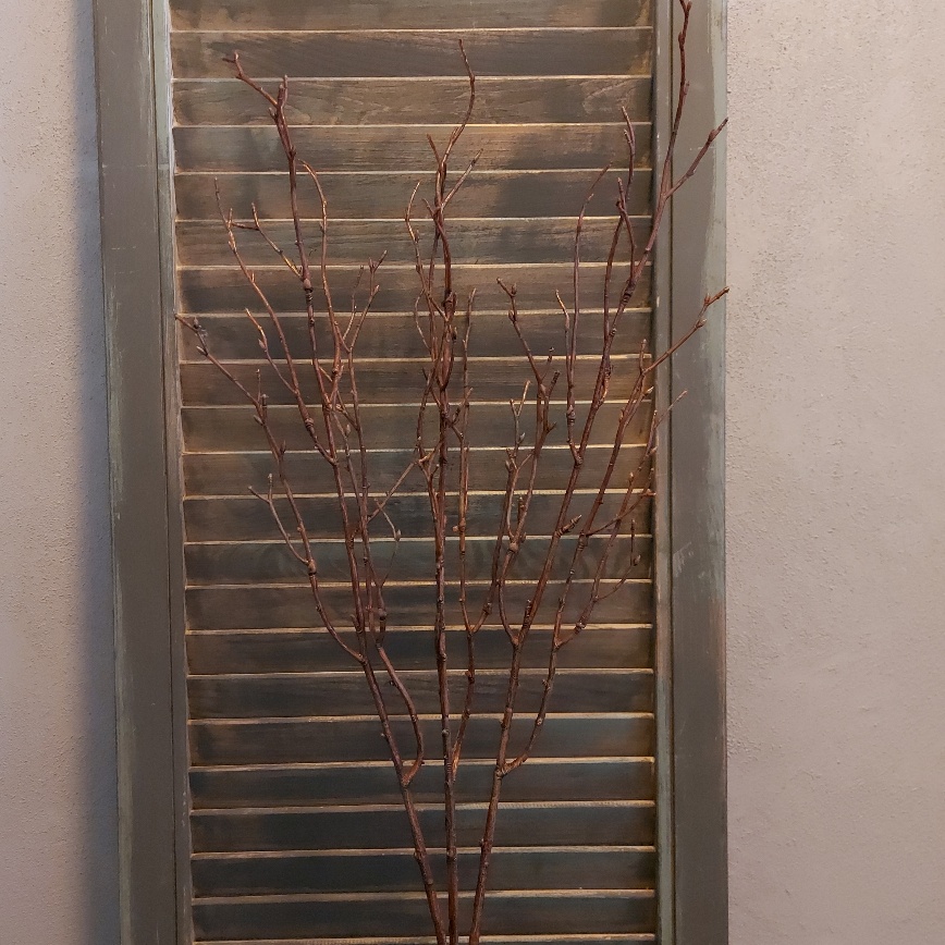 Berkentakken kunsttwijg, bundel van drie, van het merk Sylxz van Brynxz.