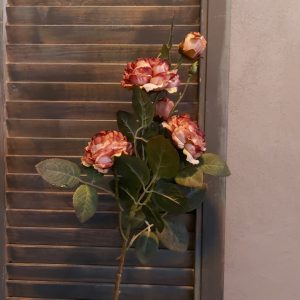 Rozentak met 5 bloeiende rozen in roze kleurtinten, van het merk Brynxz.