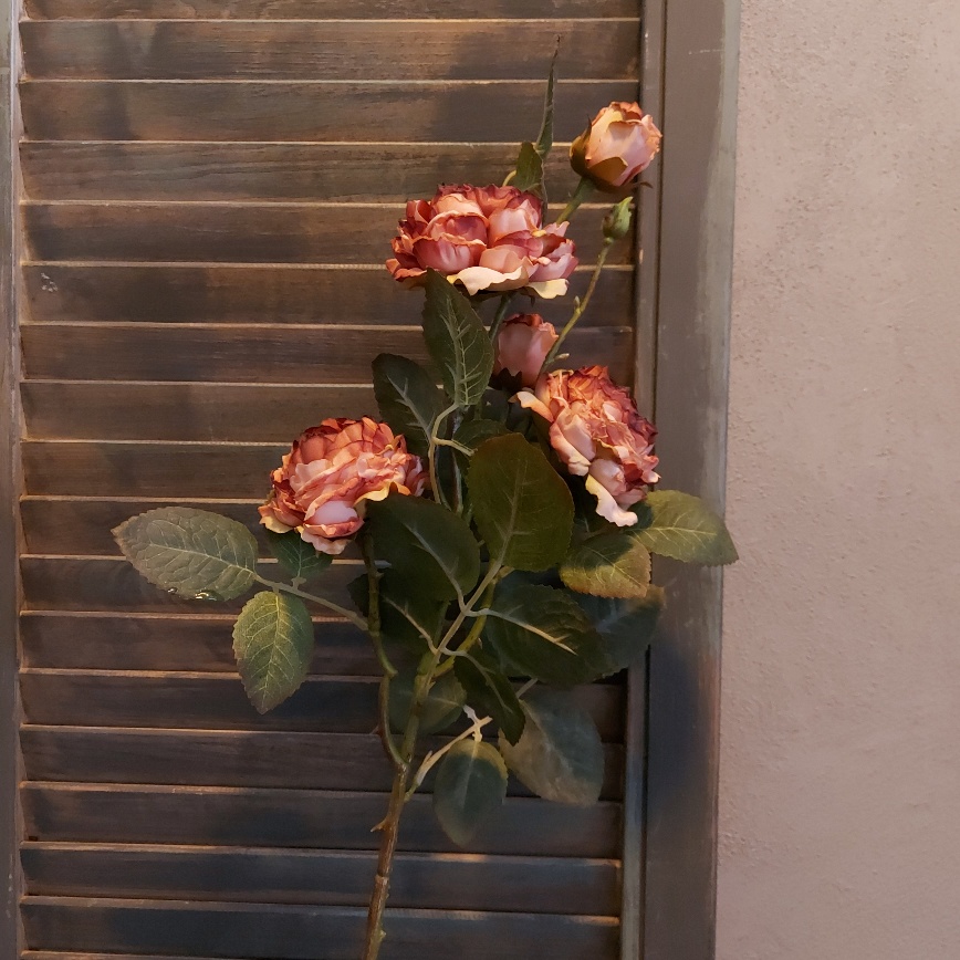 Rozentak met 5 bloeiende rozen in roze kleurtinten, van het merk Brynxz.