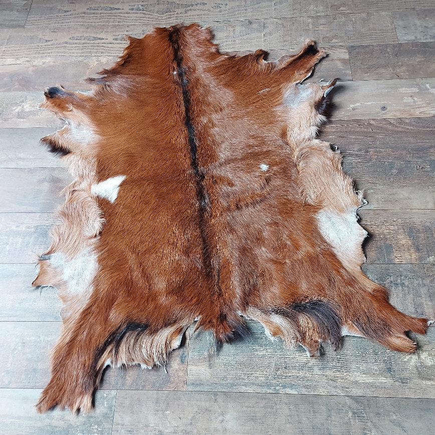 Decoratief geitenvacht in een donker bruine kleur, gemaakt van soepel leer een zacht geitenhaar.