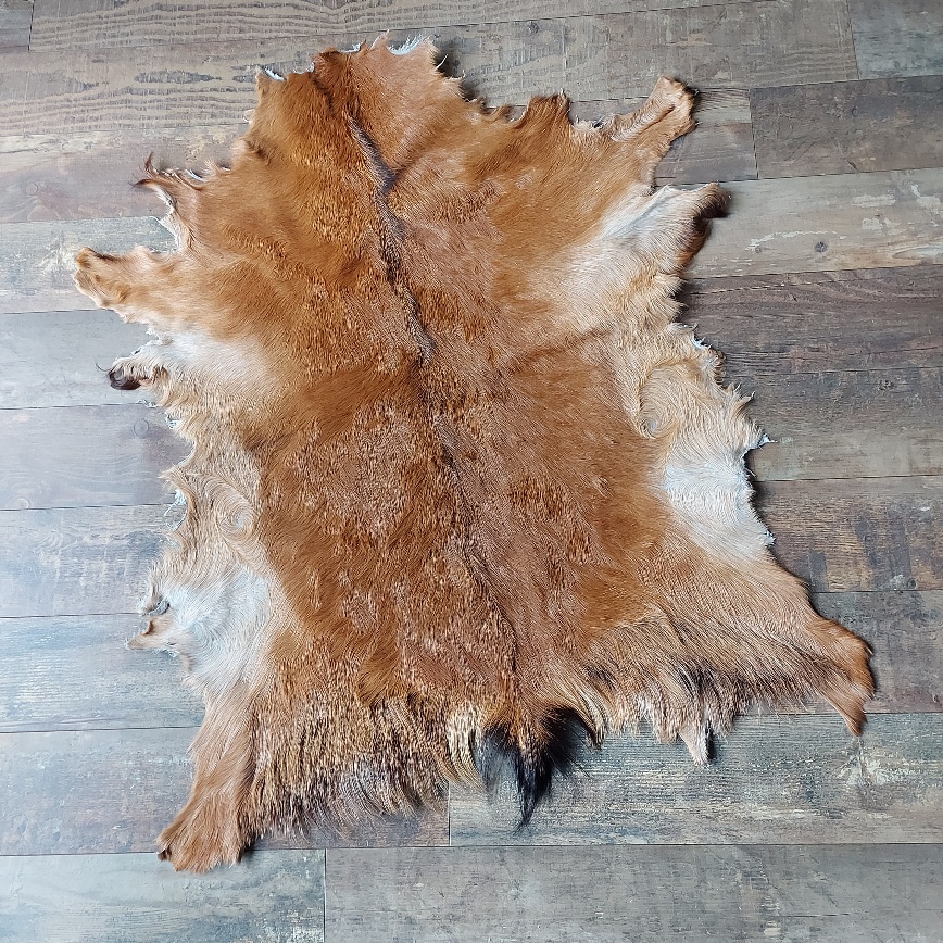 Decoratief geitenvacht in een donker bruine kleur, gemaakt van soepel leer een zacht geitenhaar.