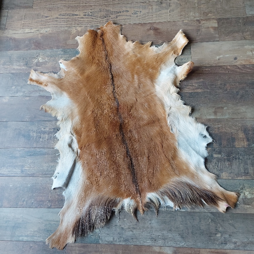 Decoratief geitenvacht in een licht bruine kleur, gemaakt van soepel leer een zacht geitenhaar.