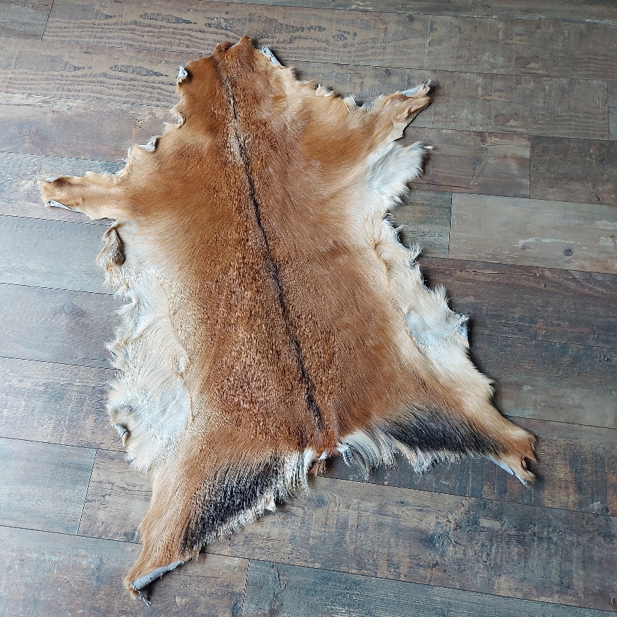 Decoratief geitenvacht in een licht bruine kleur, gemaakt van soepel leer een zacht geitenhaar.