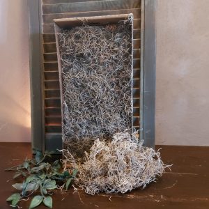 Tillandsia mos in een doos van 500 gram.