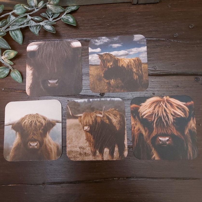 Set van 10 onderzetters van viltkarton met afbeeldingen van Schotse Hooglanders. Dubbelzijdig bedrukt.